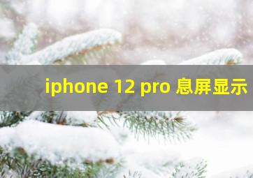 iphone 12 pro 息屏显示